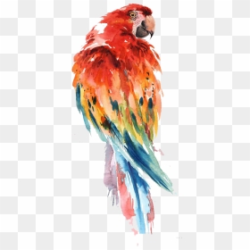 Transparent Parakeet Png - Watercolor Parrot, Png Download - parakeet png