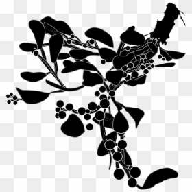 Mistletoe-silhouette - Missiletoe In Silhouette, HD Png Download - hanging mistletoe png