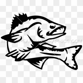 Walleye Vector Clipart Black And White Stock - Walleye Clip Art Png, Transparent Png - walleye png
