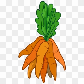 Bunch Of Carrots Clipart, HD Png Download - carrot clipart png