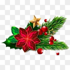Mistletoe Png Pic - Mistletoe .png, Transparent Png - hanging mistletoe png