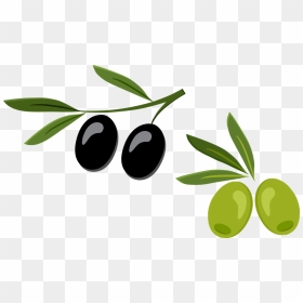 Olive, HD Png Download - olive branch vector png
