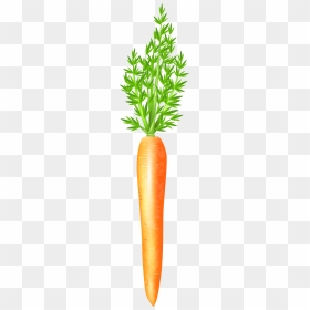 Carrots Clipart Png - سكرابز جزر, Transparent Png - carrot clipart png