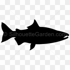 Salmon Clipart Knowledge - Maroc En Force Sisi, HD Png Download - walleye png