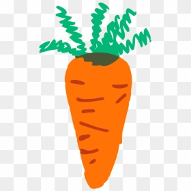 Animation Pictures Of Carrot - Carrot Clip Art, HD Png Download - carrot clipart png