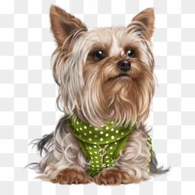 Yorkie Png, Transparent Png - yorkie png