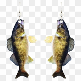 D"ears Women"s Fish Earrings - Earrings, HD Png Download - walleye png
