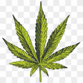 Cannabis Vector, HD Png Download - hemp leaf png