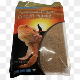 Australian Desert Dragon Bags Of Sand For Bearded Dragons, HD Png Download - bearded dragon png
