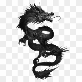 Black Dragon Transparent - Black And Blue Dragon, HD Png Download - black dragon png