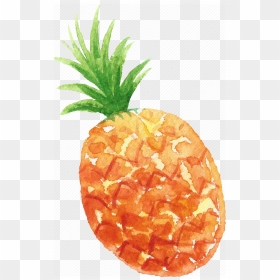 Cuisine, Food, Fruit, Fruits, Pineapple, Watercolor, - Fruits Water Color, HD Png Download - tumblr pineapple png