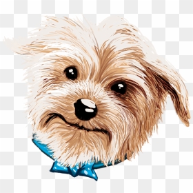 Doggy Drawing Yorkie - Yorkie Drawoing, HD Png Download - yorkie png