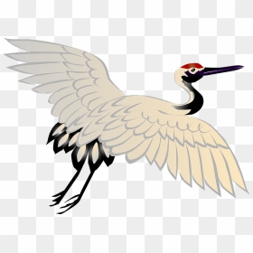Red Crowned Crane Bird Clipart - Sandhill Crane, HD Png Download - crane bird png