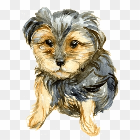 Yorkie Clipart - Yorkshire Terrier, HD Png Download - yorkie png