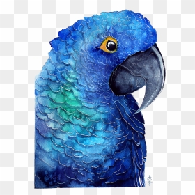 Blue Parrot Download Transparent Png Image - Water Color Green Parrot, Png Download - parakeet png