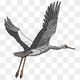 Stork Vector Heron - Crane Bird Clip Art Flying, HD Png Download - crane bird png