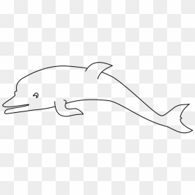 Drawing Indo Pacific Humpbacked Dolphin, HD Png Download - fish jumping out of water png