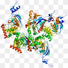 Protein Cftr Pdb 1xmi - Cystic Fibrosis Protein, HD Png Download - darkrai png