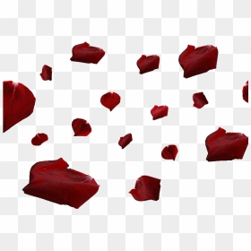 Transparent Falling Flowers Png - Png Red Rose Petals, Png Download - red rose petals png