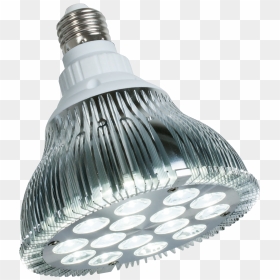Hanging Light Bulb - White Led Grow Light 15w, HD Png Download - hanging light bulb png