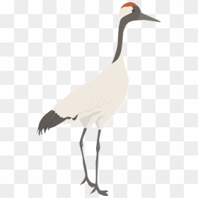 Crane Clipart - Goose, HD Png Download - crane bird png