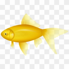 Fish Jumping Clipart Clipart Library Stock Yellow Fish - Cartoon Transparent Background Yellow Fish, HD Png Download - fish jumping out of water png