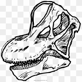 Transparent Brachiosaurus Png - Brachiosaurus Skull Png, Png Download - brachiosaurus png