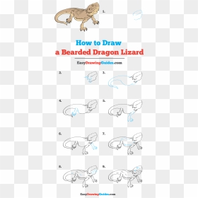 Angler Fish Drawing Step By Step, HD Png Download - bearded dragon png