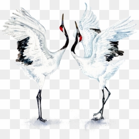 Dancing Japanese Red Crowned Crane, HD Png Download - crane bird png