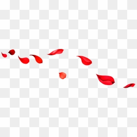 Beach Red Download Falling Petals , Hd Wallpaper & - Portable Network Graphics, HD Png Download - red rose petals png