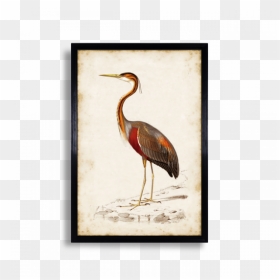 Crane, HD Png Download - crane bird png