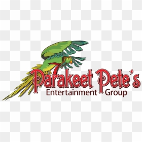 Sports, HD Png Download - parakeet png