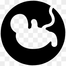 Pregnancy - Baby Pregnant Icon, HD Png Download - pregnancy png