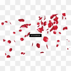 Rose Petals Flowers , Png Download - Rose Petals Transparent Background, Png Download - red rose petals png
