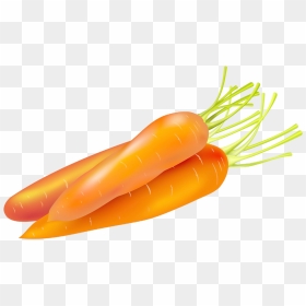 Carrot Cake Food Vegetable - Carrots Vector Png Transparent, Png Download - carrot clipart png