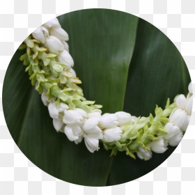 Petal, HD Png Download - hawaiian lei png