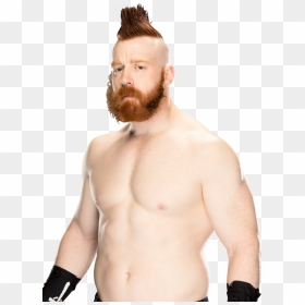 Sheamus Transparent Image - Wwe Sheamus Hot Chest, HD Png Download - sheamus png