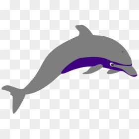 Grey Dolphin Png, Transparent Png - fish jumping out of water png