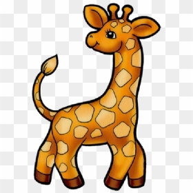 Baby Giraffe Pictures Images Clip Art - Жираф Картинки Для Детей, HD Png Download - baby giraffe png