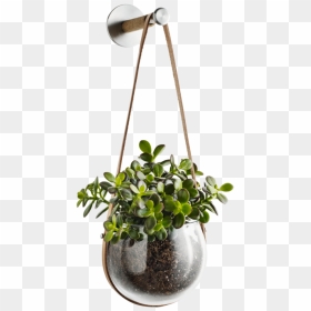 Design With Light Hanging Pot And Peg By Holmegaard"   - Flower In A Flower Pot Png, Transparent Png - hanging light bulb png