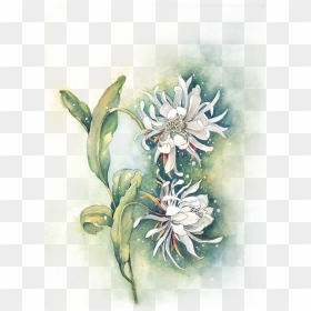 Clipart Royalty Free Edelweiss Drawing Watercolor , - Watercolor Wash Flower Painting, HD Png Download - watercolor camera png