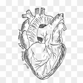 Transparent Sketch Heart Png - Line Art, Png Download - sketch heart png