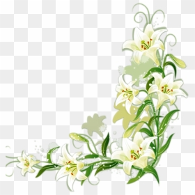 Lilium Candidum Border Flowers - Easter Lily Border Clipart, HD Png Download - white lily png