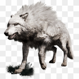 Far Cry Collection Trophies - Far Cry Primal Png, Transparent Png - far cry primal png