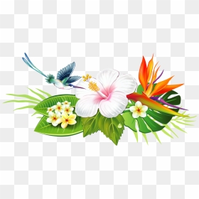 Hibiscus Clipart Lei Flower - Tropical Flowers Drawing, HD Png Download - hawaiian lei png