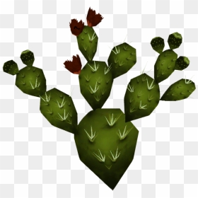 Thumb Image, HD Png Download - nopal png