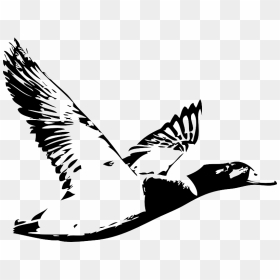 Duck Waterfowl Hunting Logo Water Bird - Duck Hunting Logo Design, HD Png Download - duck hunt duck png