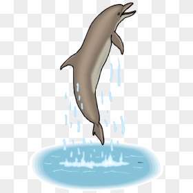 Gif Dolphin Png Clipart , Png Download - Dolphin Gif Transparent Background, Png Download - fish jumping out of water png