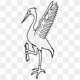 Ciconiiformes, HD Png Download - crane bird png