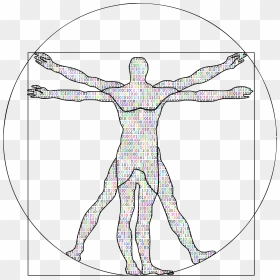 Prismatic Binary Vitruvian Man Clip Arts - Vitruvian Man Art Digital, HD Png Download - man back png